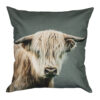 Kussen schotse hooglanders 50x50 |