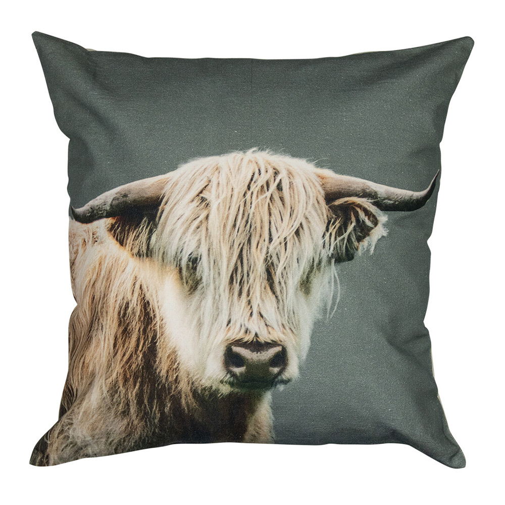 Kussen schotse hooglanders 50x50 |