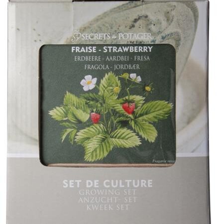 Kweekset Aardbei / Secrets du Potager | Secrets du Potager