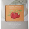 Kweekset Paprika / Secrets du Potager | Secrets du Potager