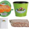 Kweekset pompoen / Esschert Design | Esschert Design