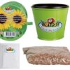 Kweekset zonnebloem / Esschert Design | Esschert Design