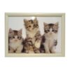 Laptray Drie kittens |