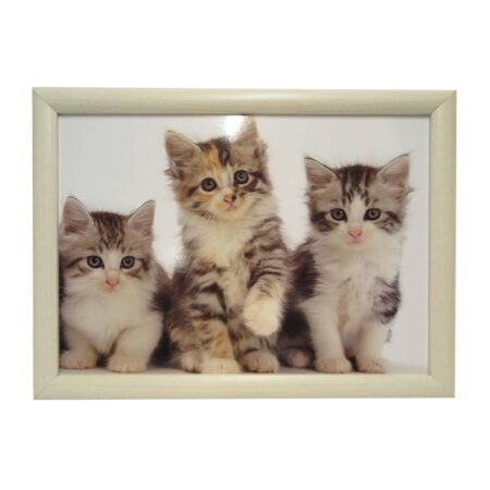 Laptray Drie kittens |