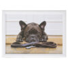 Laptray humor franse bulldog |