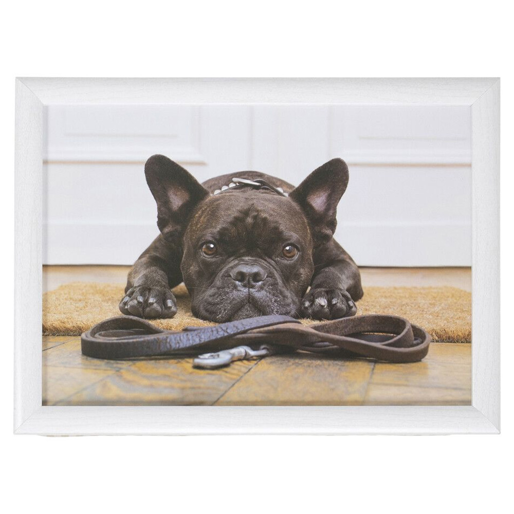 Laptray humor franse bulldog |