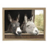 Laptray twee ezels |