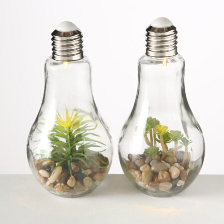 Led Gloeilamp met plant | Boltze