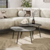 LifestyleFurn Organische Salontafel Teara Leaf Ray Metal finish
