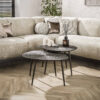 LifestyleFurn Organische Salontafel Teara Ray Metal finish