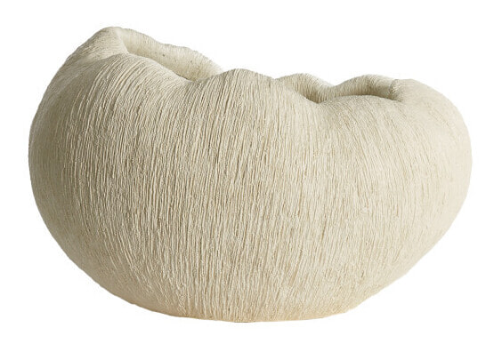 Light & Living Vaas Denisa 34cm - Crème - Organisch | Light & Living