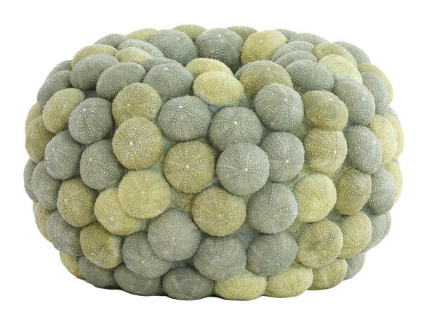 Light & Living Vaas Sea Urchin 23cm - Groen - Rond | Light & Living