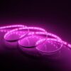 Liora Smart LED Strip 5m - Wifi & Bluetooth - RGB - Met afstandsbediening - IP44 voor binnen en buiten - SMD 5050 - 60 LEDs/m | HOFTRONIC