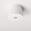 Locus - Noodverlichting opbouwspot wit - 2 Watt 300 Lumen - 6000K daglicht wit - IP20 stofdicht - Met testknop | HOFTRONIC