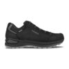 Lowa - Renegade Evo GTX Lo Wandelschoen Heren | Lowa