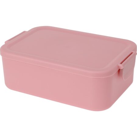 Lunchbox kunststof met clips 20x14x7cm | Merkloos