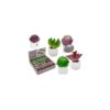 Magneet vetplant in pot 3x5cm | OOTB