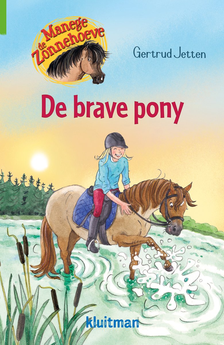 Manege de Zonnehoeve De brave pony | Kluitman