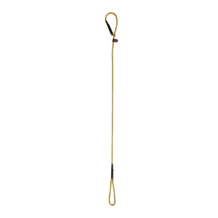 Marley Hondenlijn (slipriem) Gold | Dubarry