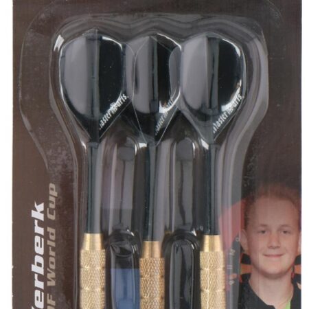 MasterDarts Darts 20gr op kaart | Eddy toys
