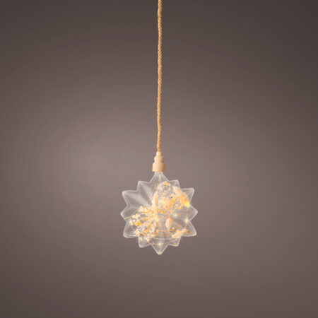 Micro Led Ster met droogbloemen Ø 19cm | Lumineo