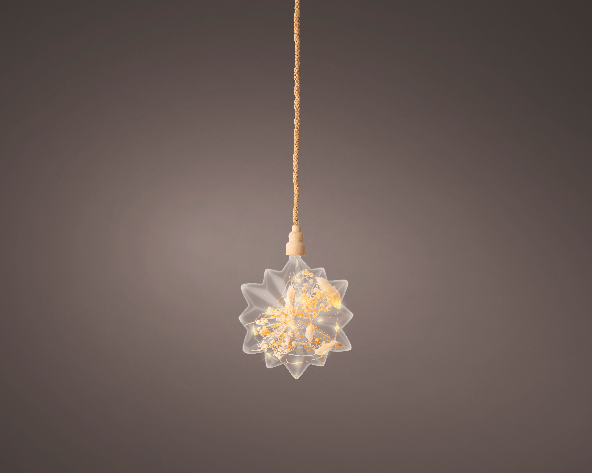 Micro Led Ster met droogbloemen Ø 19cm | Lumineo