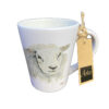 Mok Schaap II |