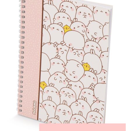 Molang ringband A5 notebook ruitjes | Molang