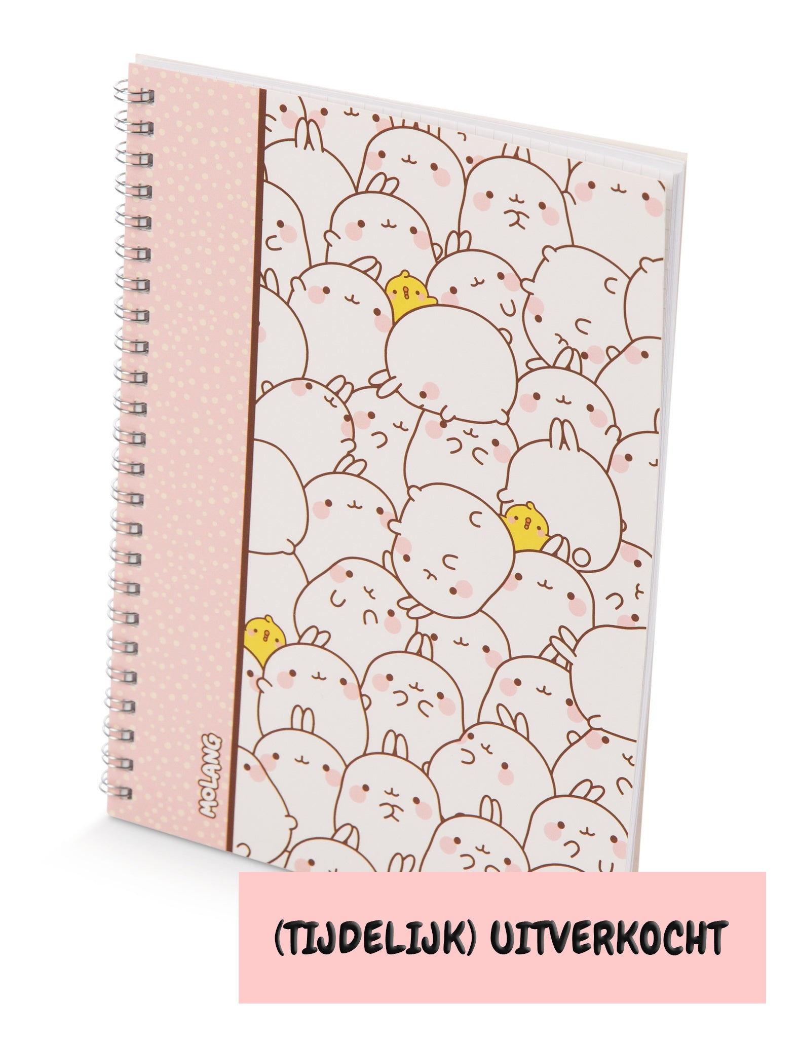 Molang ringband A5 notebook ruitjes | Molang