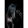 MondiArt Alu Paard zwart 1040848 |