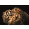 MondiArt Alu So Close glans a1100815 |