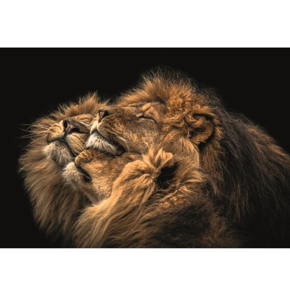 MondiArt Alu So Close glans a1100815 |