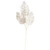 Monstera tak met glitter 78cm champagne | House of Nature