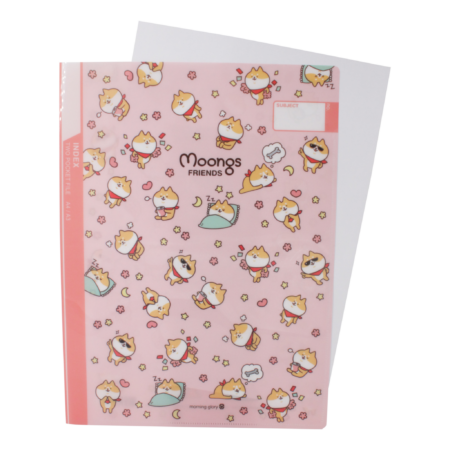 Moongs Friends A4 insteekmap - diverse | Moongs