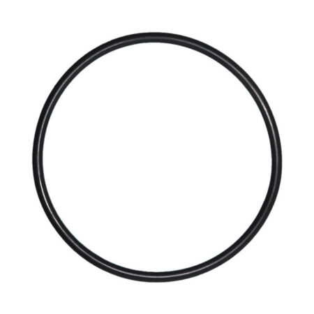 O-Ring voor Deksel Astral Victoria Plus zwembadpomp | Astral