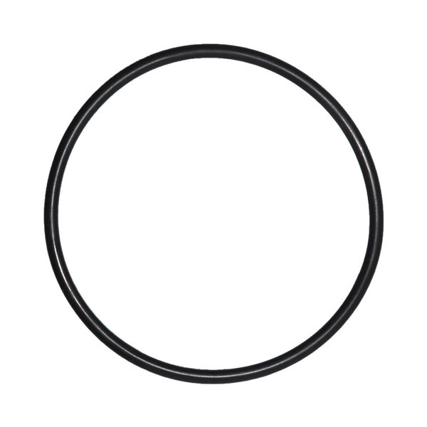 O-Ring voor Deksel Mega Pool SC zwembadpomp | Mega Pool
