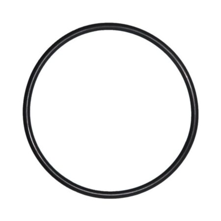 O-Ring voor Deksel Pentair IntelliFlo Whisperflo zwembadpomp | Pentair