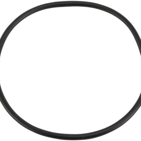 O-ring voor filterdeksel Pentair Azur filterset | Pentair