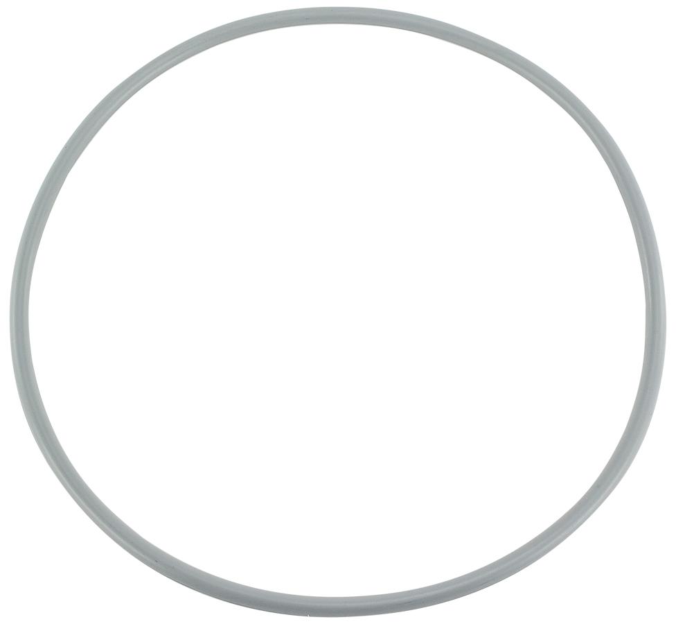 O-ring voor filterdeksel Pentair Triton zandfilter | Pentair