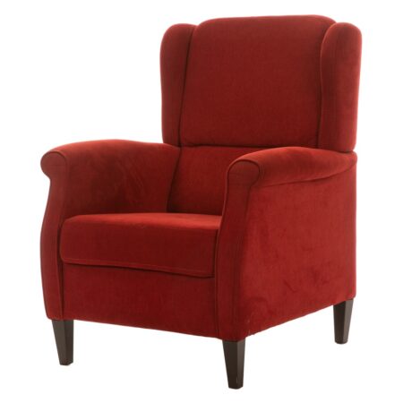 Oorfauteuil Elspeet |