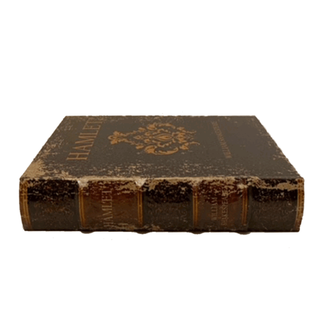 Opbergboek Hamlet William Shakespeare S |