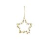Ornament ster goud - h1xD10cm |