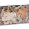 Paas Figuurtjes Kip Natuurlijk Schors 24 Stuks 8Cm |