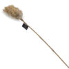 Pampas tak -1 |