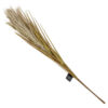 Pampas tak -2 |