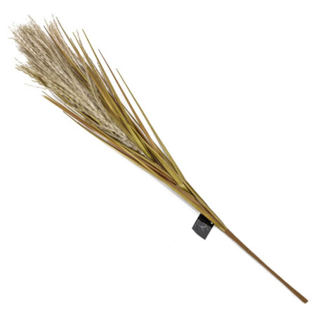 Pampas tak -2 |
