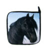 Pannenlap Paard |