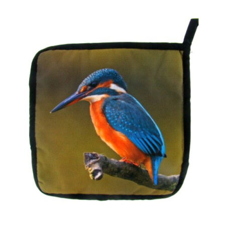 Pannenlap ijsvogel |