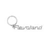 Paperdreams Cool Car keyring - Flevoland | Paperdreams