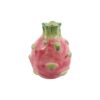 Pitaya vaas M roze 10